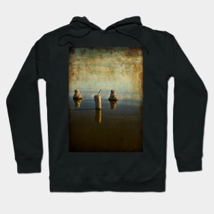 Salt Beach Hoodie